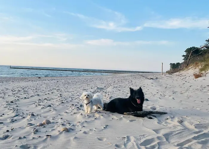 アパート Morski ヤロスワビエツ